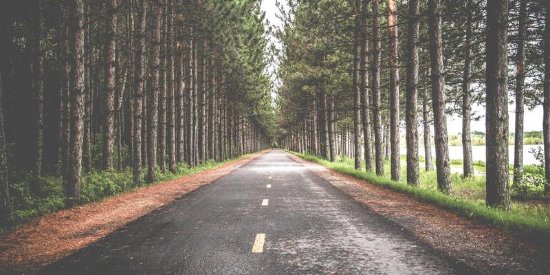宝鸡人的清晨仪式：一碗豆花泡馍配擀面皮，唤醒关中胃的终极指南
