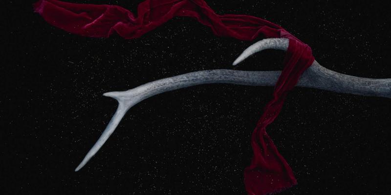 宝鸡麟游九成宫遗址寻踪：探访欧阳询《九成宫醴泉铭》碑刻，解锁宝鸡文旅与商业新体验