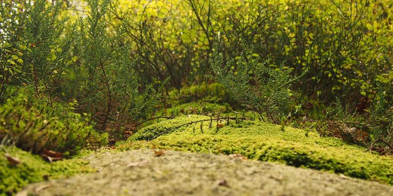 骑行渭河畔,发现宝鸡新魅力:从金渭湖到东岭廊桥的城市生态骑行全攻略